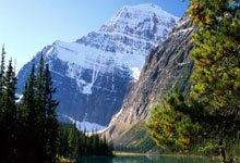 末世流异能小说男女双强,末世异能类双男主