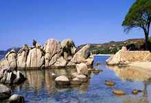 重生渔家女空间异能小说推荐,重生渔家女 小说